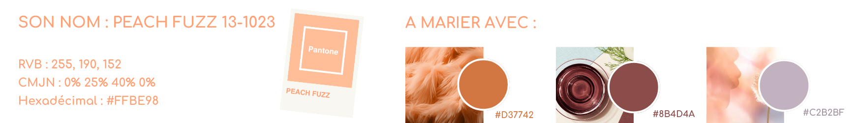 Pantone de l'année 2024